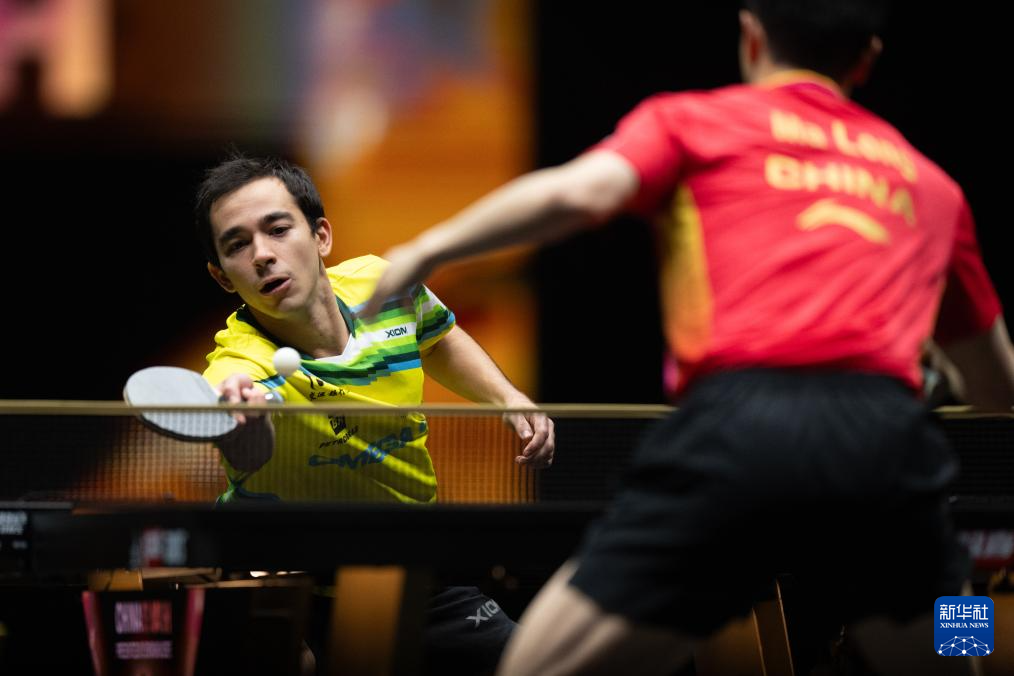 种族歧视的 种族歧视的