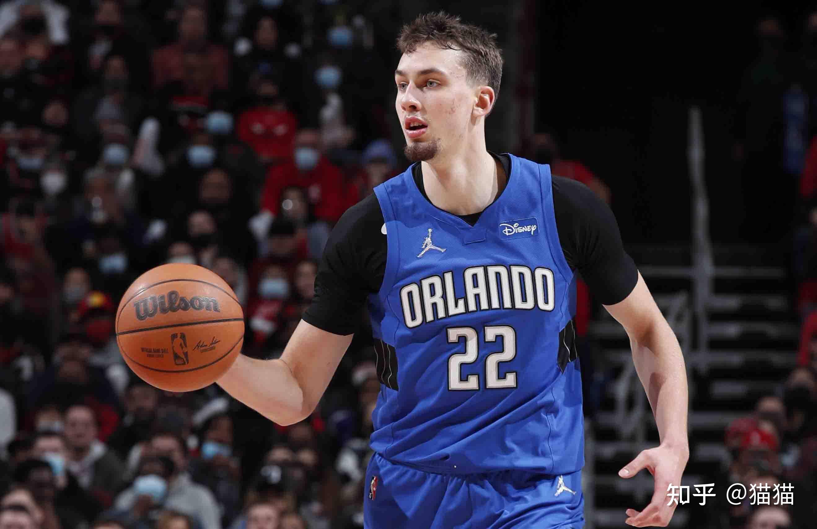 了他们在杯 了他们在杯