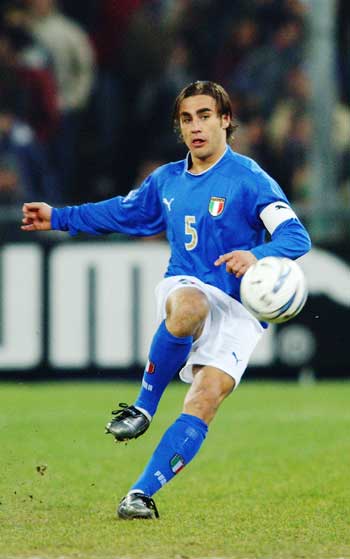 了坚实的后 了坚实的后