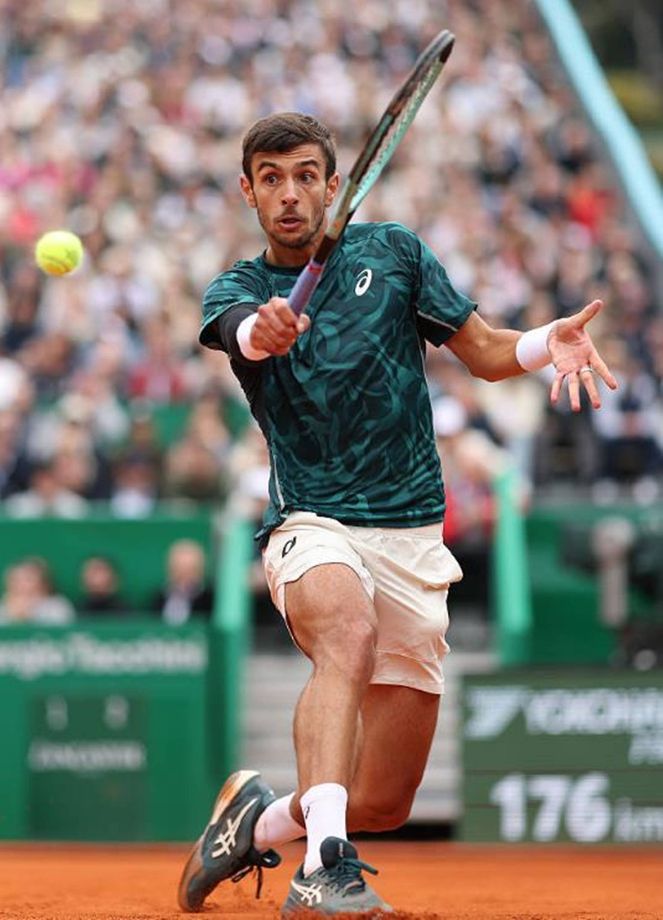 易获得搜索 易获得搜索